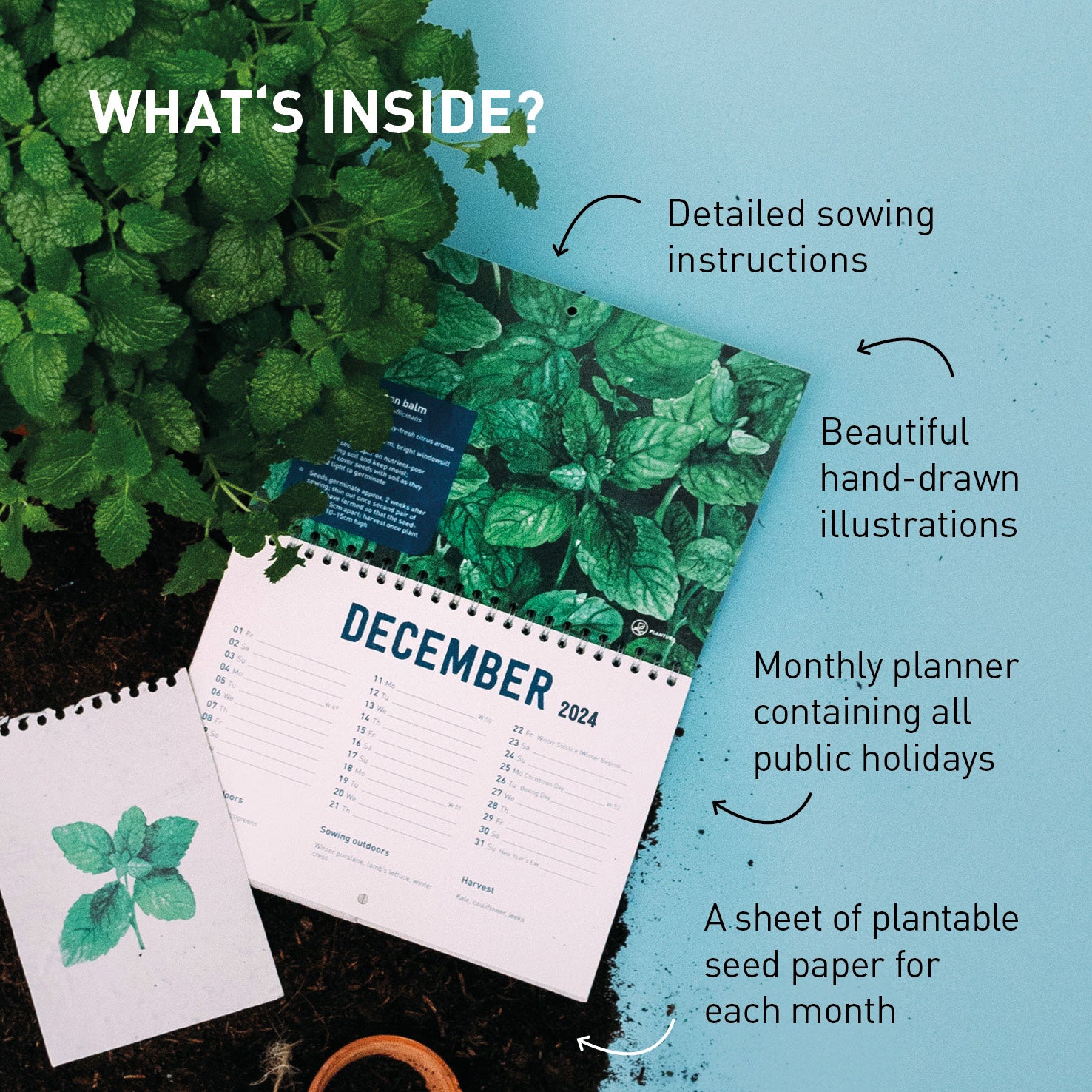 Plantable Calendar 2024 Plantura Shop Plantura UK