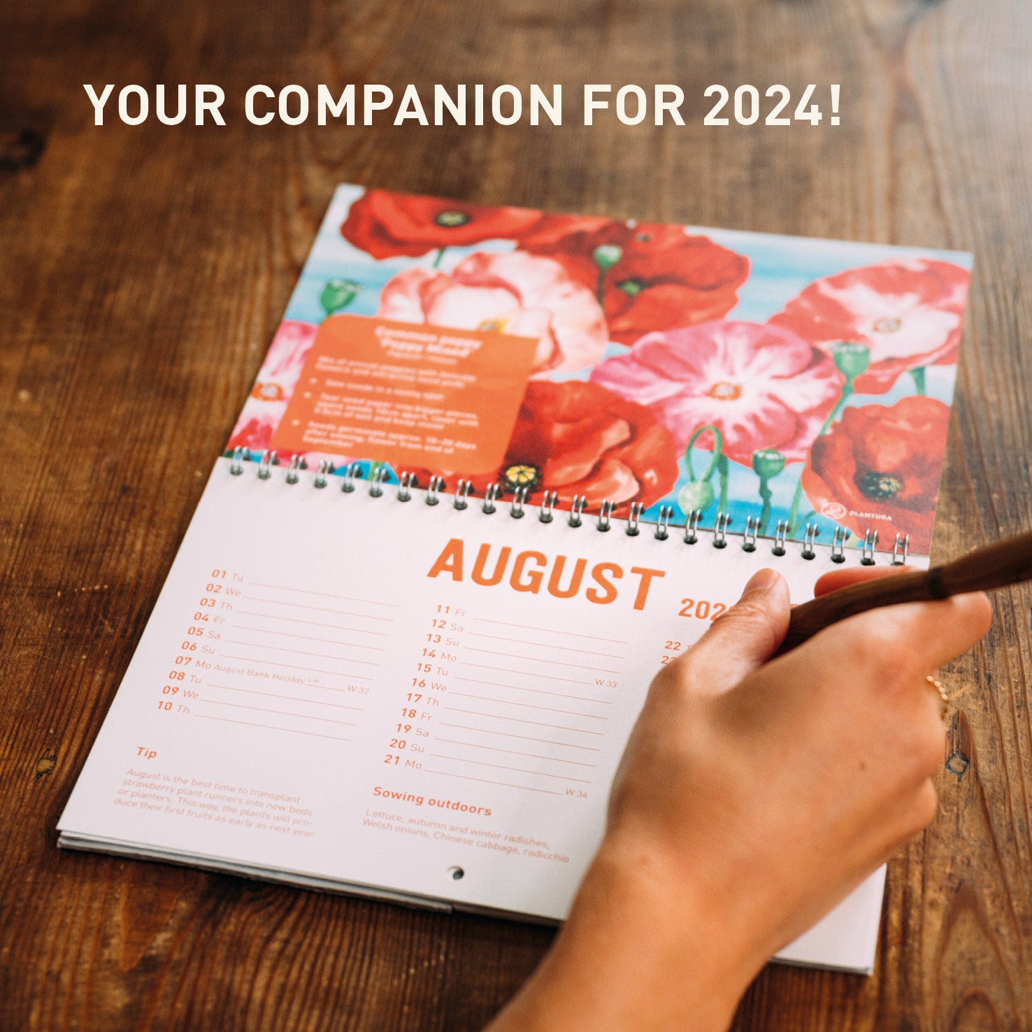 Plantable Calendar 2024 Plantura Shop Plantura UK