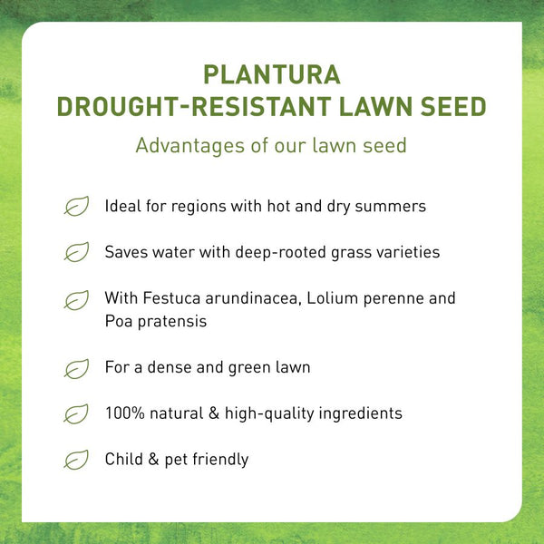 Plantura Drought-Resistant Lawn Seed advantages