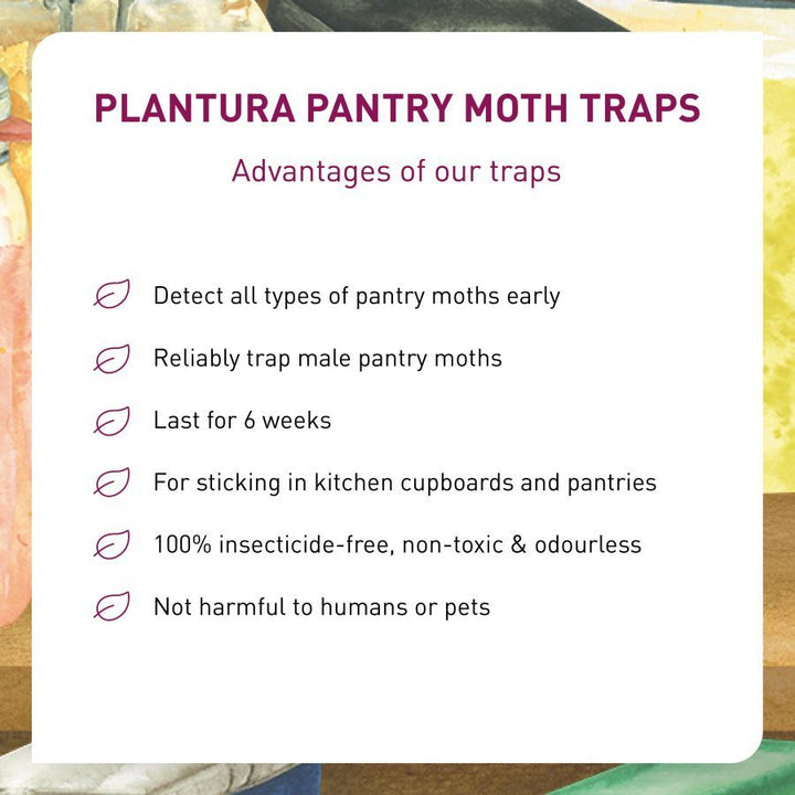 https://www.uk.plantura.garden/cdn/shop/products/plantura-pantry-moth-traps-advantages_720x.jpg?v=1657533484