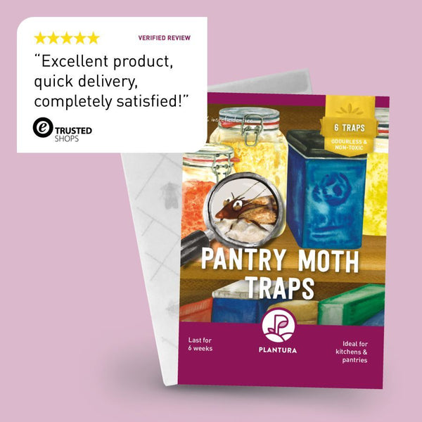 Kitchen Pantry Moth Traps - Prime Pantry Moth Traps with Pheromones, Pet Safe Pantry Moth Trap, Food Moth Traps with Pheromones 6 Pack