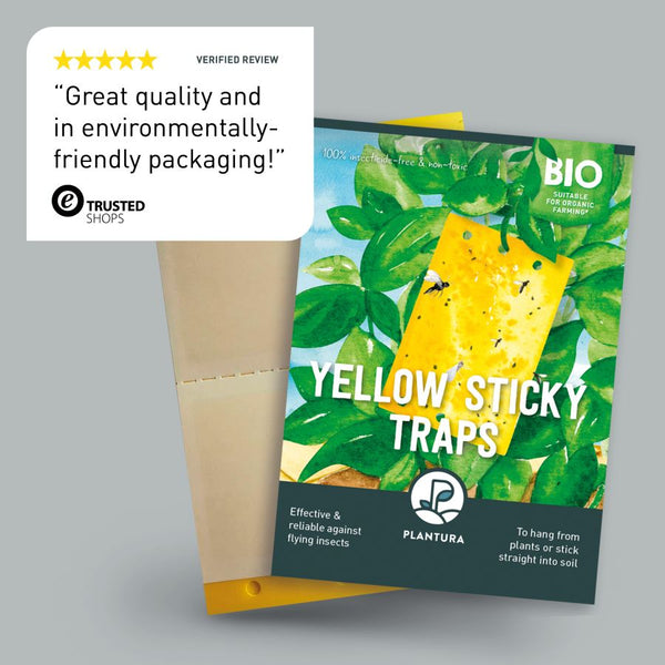 https://www.uk.plantura.garden/cdn/shop/products/plantura-yellow-sticky-traps-review_600x600.jpg?v=1657527774